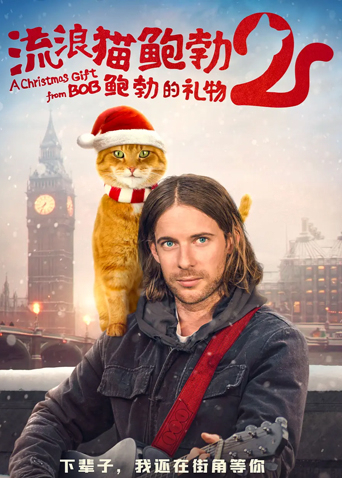 流浪猫鲍勃2：鲍勃的礼物（普通话）-芒果视频
