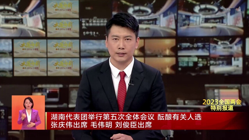 湖南代表团举行第五次全体会议 酝酿有关人选 张庆伟出席 毛伟明 刘俊臣出席