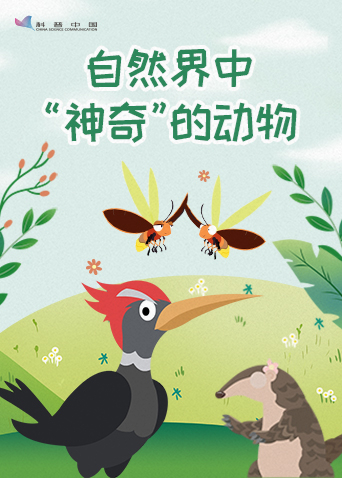 自然界中神奇的动物