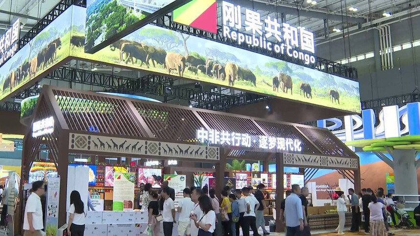 中非共行动 逐梦现代化 第四届中非经贸博览会签约176个项目 113.9亿美元