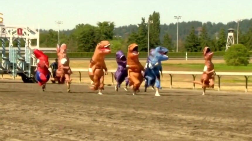 美国华盛顿州举办趣味“霸王龙竞速赛”