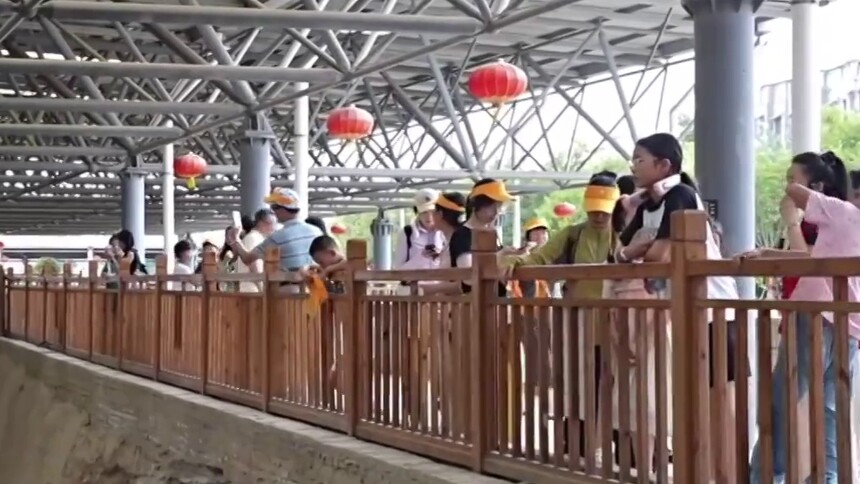 宋都开封：暑期研学市场升温