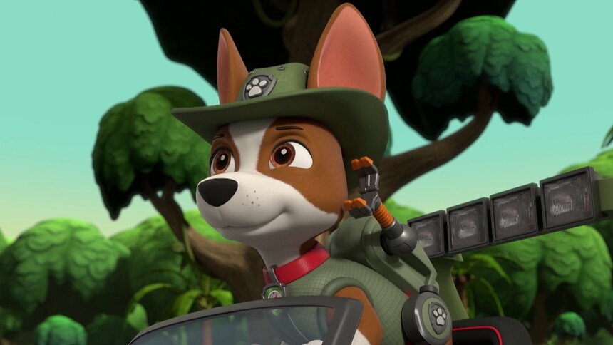 温妮被老鹰当成敌鸟惨遭袭击 天天小克联手救援