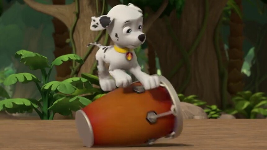 【毛毛搞笑日常】滚大鼓高手