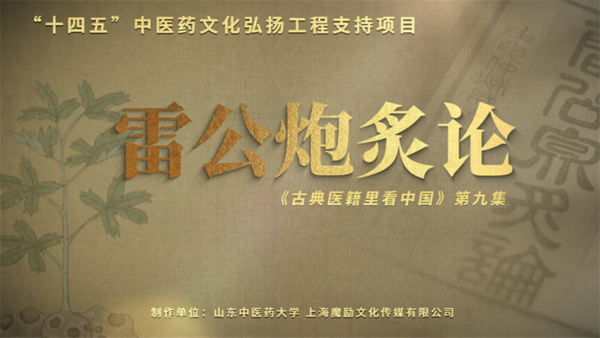 古典医籍里看中国 第9集：雷公炮炙论——无炮制，不中药