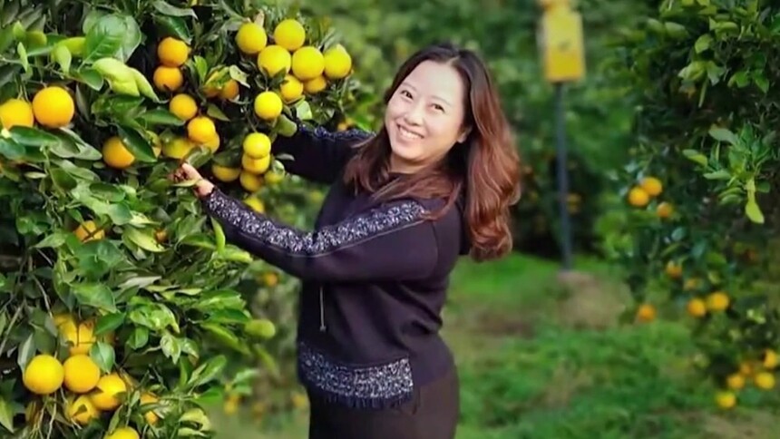 湘产兴农记（下）