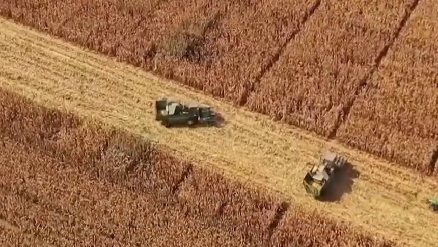 2025“三农”成绩单｜科技赋能添底气 品牌效应增亮色