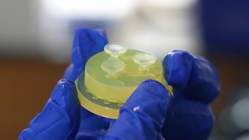 水凝胶如何“抓重物”？