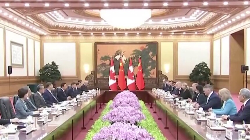 习近平会见加拿大总理卡尼