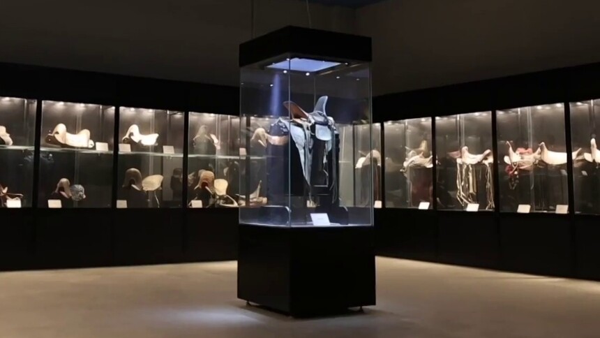 龙马精神迎新春 河北安平中国马文化博物馆热闹迎客