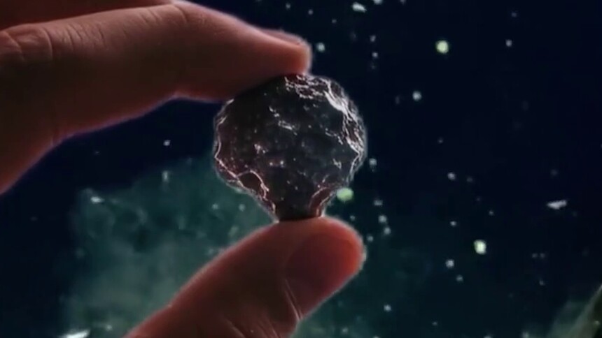 生物体内最早的“导航系统”指的是什么？