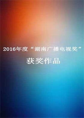 2016年度“湖南广播电视奖”获奖作品