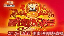 2010湖南卫视春节联欢晚会