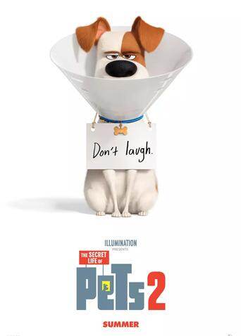 爱宠大机密2 普通话版