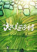 决战美丽乡村
