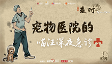 宠物医院深夜急诊室里的故事