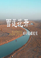 雪莲花开——对口援疆纪实