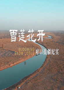 纪录片简介:《雪莲花开——对口援疆纪实》讲述一段段援疆人的珍贵