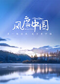 风度中国