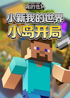 小新我的世界 小岛开局
