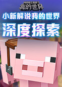 小新解说我的世界 深度探索