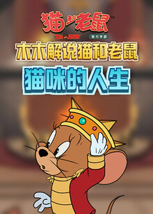 木木解说猫和老鼠 猫咪的人生
