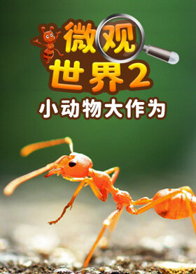 微观世界2:小动物·大作为