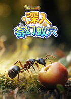 球球有料科普：深入奇幻蚁穴