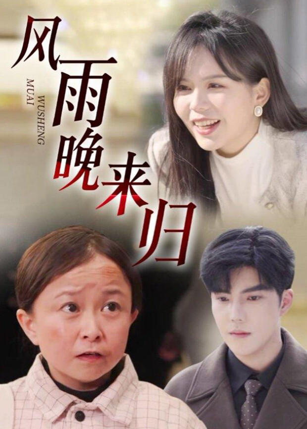 风雨晚来归封面图
