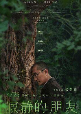 寂静的朋友