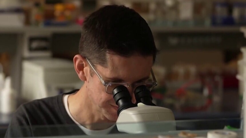 数字生命对现实世界有什么影响吗？