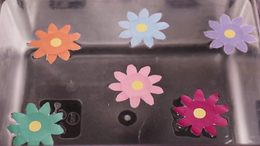 水中纸花的科学原理是什么？