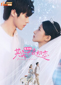 其实不是初恋 电影版