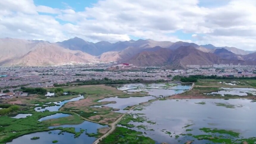 西藏拉萨：拉鲁湿地生态保护成效显著