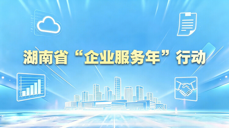 湖南省“企业服务年”行动
