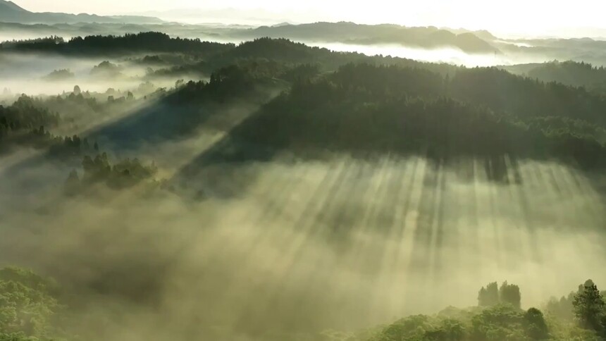 湖南麻阳：森林晨景光影交错