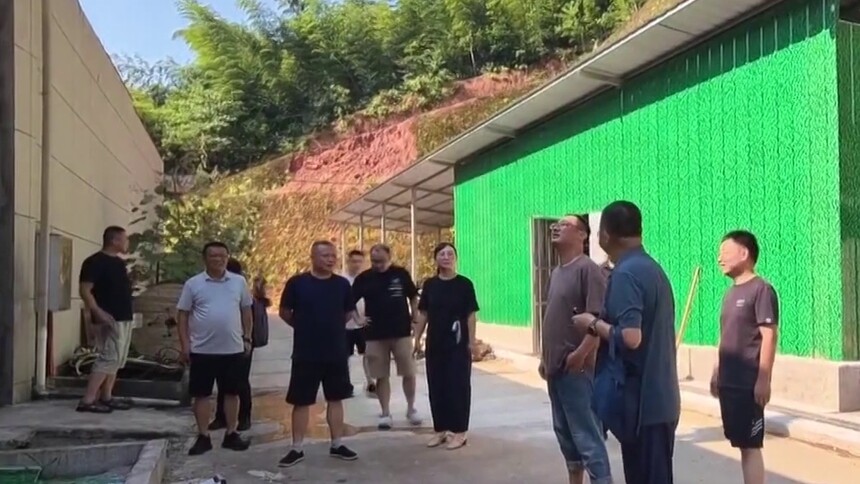 全省安全生产隐患大排查大整治 桃江县：专业力量下沉一线！为企业安全生产“对症下药”