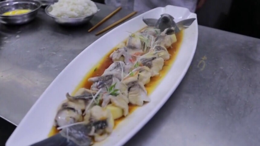 洪江区四大美食 沅水湘华鲮——洪江古码头上的“淡水东星斑”