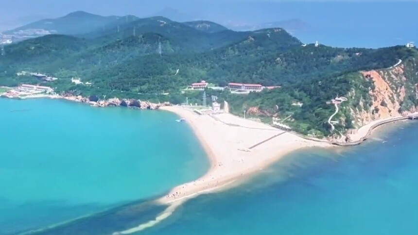 山东长岛：海水清了 海豹来了