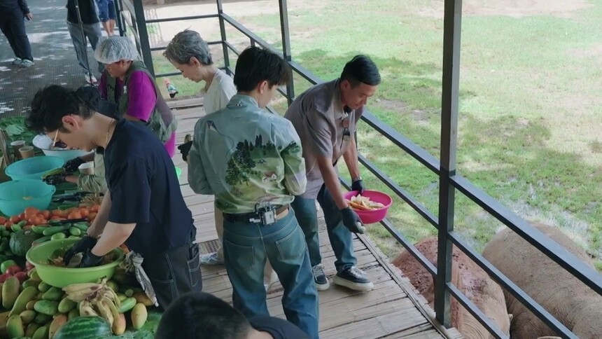 开启投喂模式！王俊凯林大厨喂大象不亦乐乎