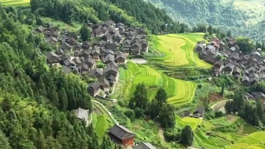 稻熟山乡美 贵州三都梯田丰收撬动乡村新活力