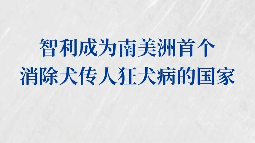 智利成为南美洲首个消除犬传人狂犬病的国家