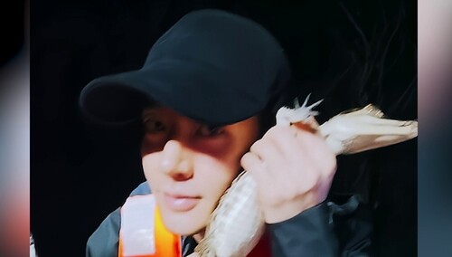 《花儿与少年2026》10月9日看点：花少团走进亚马逊热带雨林 殷桃邓为林依晨近距离观察鳄鱼