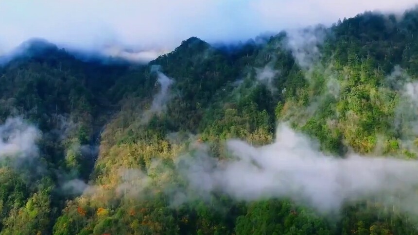 中国首批国家公园建设取得丰硕成果